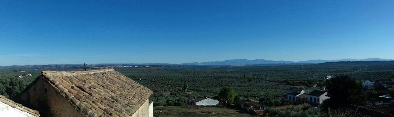 Casa Rural Verde Oliva Baños de la Encina Extérieur photo